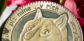 Dogecoin rate rises as popular trading app includes cryptocurrency for countless brand-new users