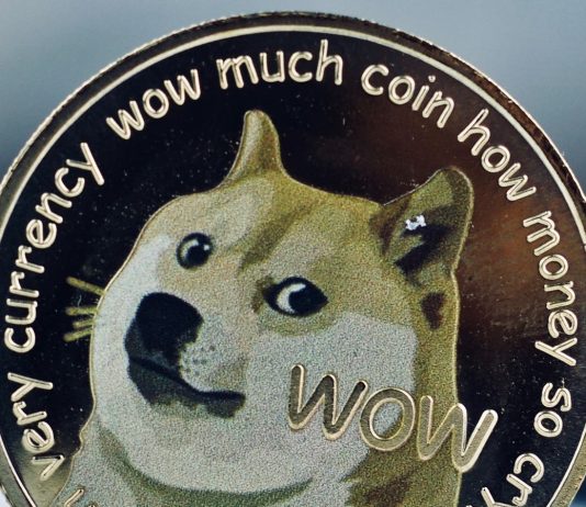 Dogecoin rate sky rockets yet another exchange uses crypto ahead of Elon Musk’s SNL look