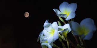 April Showers Might Progress Return Of Bitcoin Bull Run This May