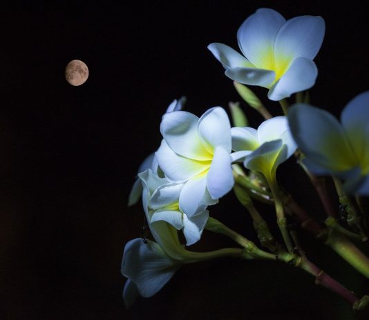 April Showers Might Progress Return Of Bitcoin Bull Run This May