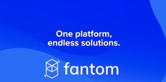 Fantom Offers Grants to Assistance Blockchain Developers Structure on Opera Fantom Offers Grants to Assistance Blockchain Developers Structure on Opera