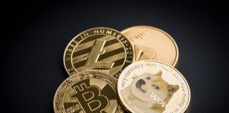 Why Andre Cronje Thinks DOGE Benefits Crypto