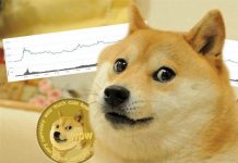 Dogecoin: How did a renowned meme end up being the world’s wealthiest male’s preferred cryptocurrency? (cloned)