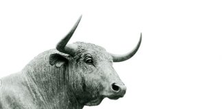 Bitcoin Relocations Sideways, However Looks Set For A Moon Week