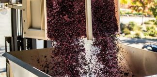 Vitalik Buterin Dumps His SHIB, Cost Tanks 30% In 1 Hour