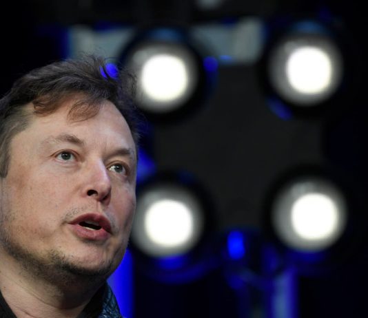Crypto rate crash: Dogecoin, bitcoin, ethereum and cardano all plunge after Elon Musk tweet