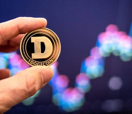 ‘I made doge in like 2 hours’: Dogecoin developer states he ‘didn’t think about’ ecological effect