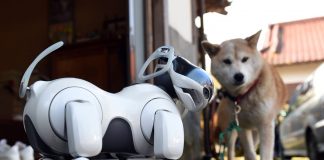Shiba Inu coin: Ethereum co-founder ‘burns’ billions of dollars in viral pet themed cryptocurrency Shiba Inu coin: Ethereum co-founder ‘burns’ billions of dollars in viral pet themed cryptocurrency