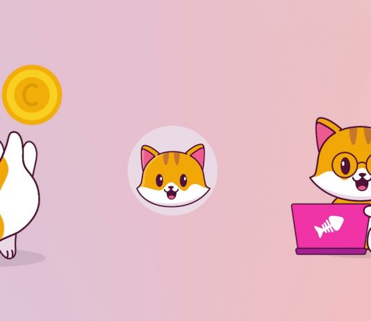 Unlike Dogecoin, Catecoin Provides a New Significance to Meme Coins with Genuine Usage case