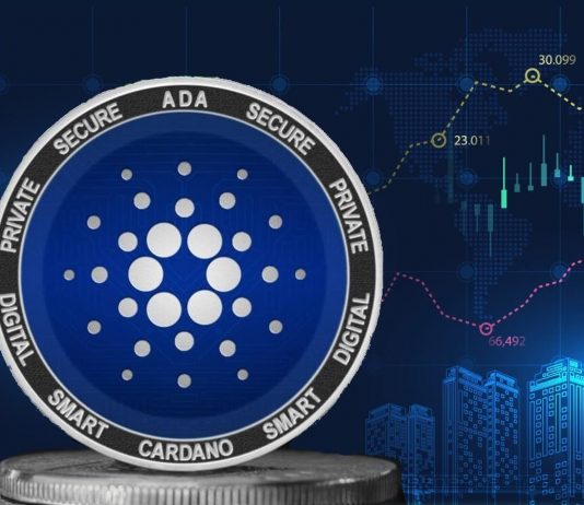 What is Cardano? The ‘green’ crypto that defied Musk’s bitcoin crash– and intends to exceed Facebook and Netflix