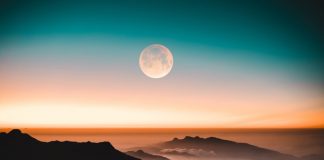 Dave Portnoy Purchases SafeMoon, States He Does Not Know Why Dave Portnoy Purchases SafeMoon, States He Does Not Know Why