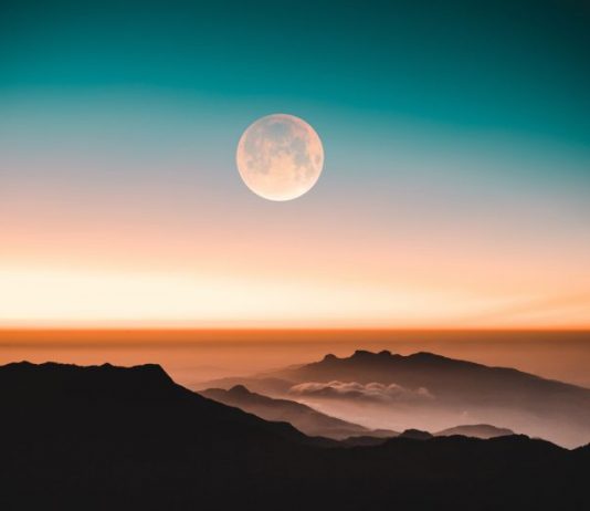 Dave Portnoy Purchases SafeMoon, States He Does Not Know Why