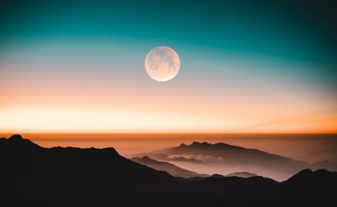 Dave Portnoy Purchases SafeMoon, States He Does Not Know Why Dave Portnoy Purchases SafeMoon, States He Does Not Know Why