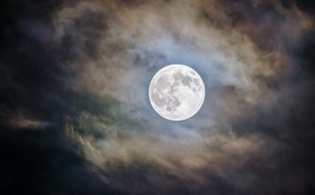 What Elon Musk’s Vision Of The Dogecoin Moon Might Appear Like What Elon Musk’s Vision Of The Dogecoin Moon Might Appear Like