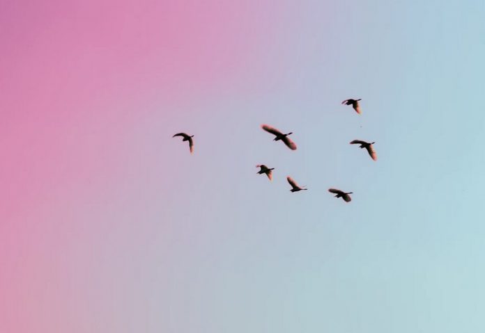 Cardano Designer Reveals Smart Contracts Platform Rollout Strategy