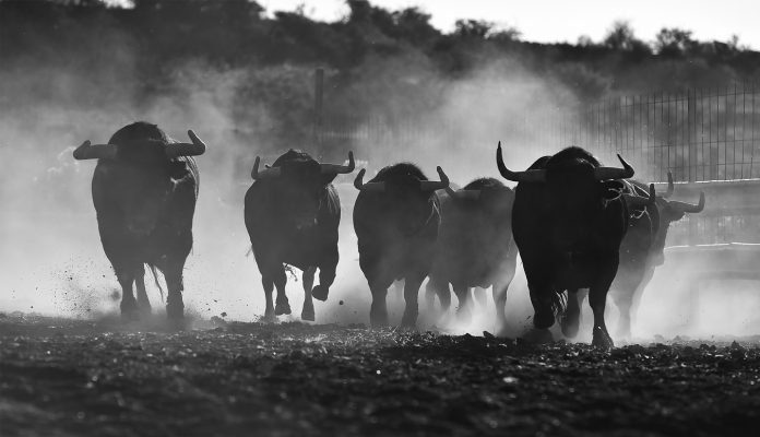 5 Indications That The Bitcoin Bottom Remains In