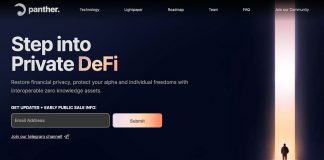 Interoperable DeFi Option Panther Procedure Protects $8 Million Interoperable DeFi Option Panther Procedure Protects $8 Million