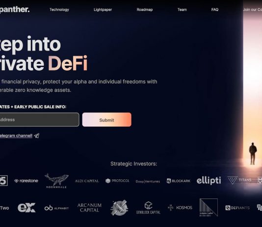 Interoperable DeFi Option Panther Procedure Protects $8 Million