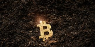 Bitcoin mining is disastrous for the setting – it’s time for governments to intervene