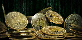 El Salvador’s Bitcoin Expense Gets Congressional Approval, However Skeptics Voice Their Issues