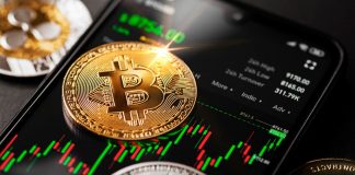 Millennial millionaires have a big share of their wealth in crypto, CNBC study states Millennial millionaires have a big share of their wealth in crypto, CNBC study states