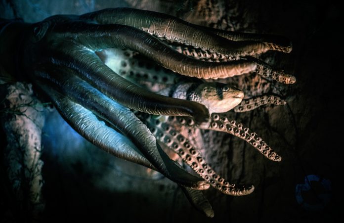 The Very Best Decentralized Derivatives Experience– the Octopus Procedure Vision