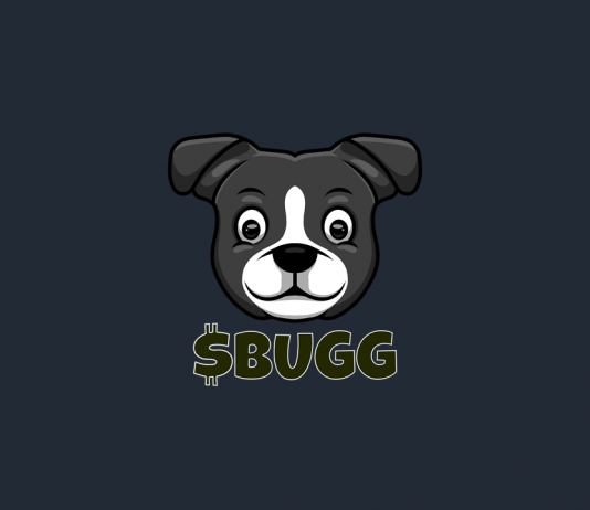 BUGG INU– A Distinct Design for the Future of Financing BUGG INU– A Distinct Design for the Future of Financing