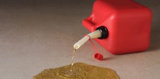 Bitcoin Area Inflows Reach Acme Because Black Thursday