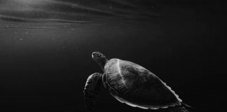 Ethereum Relocations Sideways, Why ETH’s Rate Has actually Slowed DeFi Activity