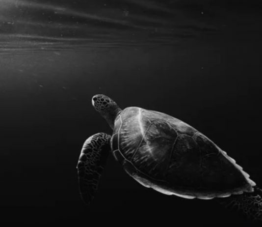 Ethereum Relocations Sideways, Why ETH’s Rate Has actually Slowed DeFi Activity