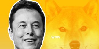 Pet Consume Pet: Elon Musk Leaving Doge Behind For New Pet Coin?