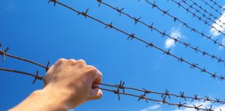 Why Centralized Exchanges (CEXs) Are Losing Appeal to Decentralized Exchanges (DEXs)
