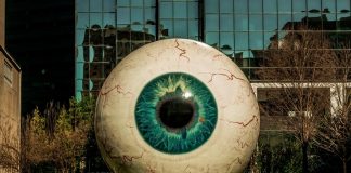 Meet WorldCoin: How This Task Wishes To Scan Everybody’s Eyeballs For Cash