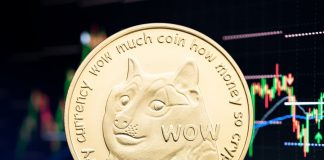 Dogecoin rate leaps after Elon Musk states ‘launch the Doge!’ Dogecoin rate leaps after Elon Musk states ‘launch the Doge!’