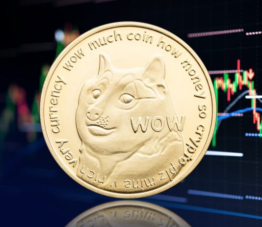 Dogecoin rate leaps after Elon Musk states ‘launch the Doge!’ Dogecoin rate leaps after Elon Musk states ‘launch the Doge!’