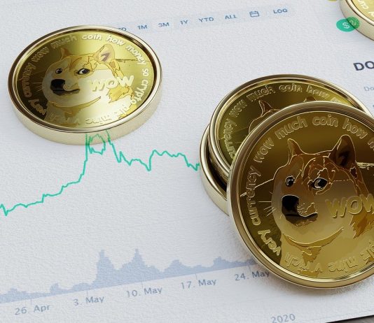 Elon Musk’s “Infant Doge” Tweet Spikes The Dogecoin Cost