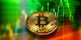 Bitcoin Whales Accumulate 60,000 Bitcoins In A Day. What Occurs Now?