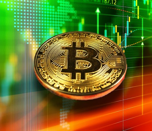 Bitcoin Whales Accumulate 60,000 Bitcoins In A Day. What Occurs Now?