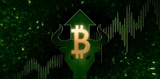 Bitcoin Pattern Strength Indication Recommends Bull Run Isn’t Yet Over