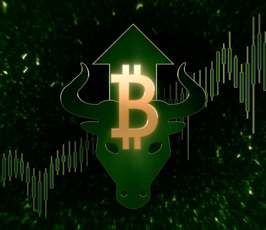 Bitcoin Pattern Strength Indication Recommends Bull Run Isn’t Yet Over