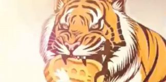 Tiger King Coin soars 1,000% in rate after backing from dogecoin financier Tiger King Coin soars 1,000% in rate after backing from dogecoin financier