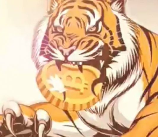 Tiger King Coin soars 1,000% in rate after backing from dogecoin financier