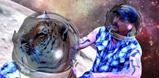 What is Tiger King Coin? Specialists anticipate cost of meme crypto will crash to no