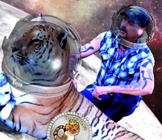 What is Tiger King Coin? Specialists anticipate cost of meme crypto will crash to no
