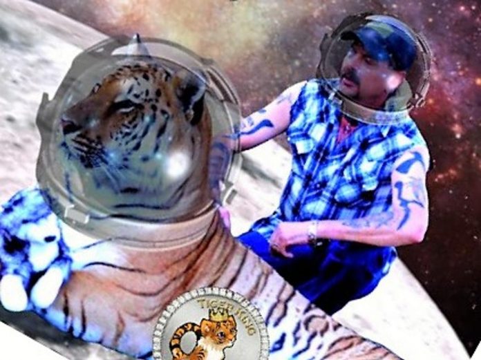 What is Tiger King Coin? Specialists anticipate cost of meme crypto will crash to no
