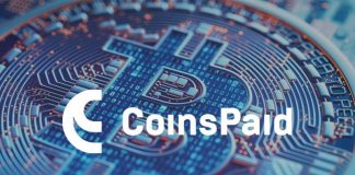 Inside the Crypto Market: Market Development Utilizing the CoinsPaid Example Inside the Crypto Market: Market Development Utilizing the CoinsPaid Example