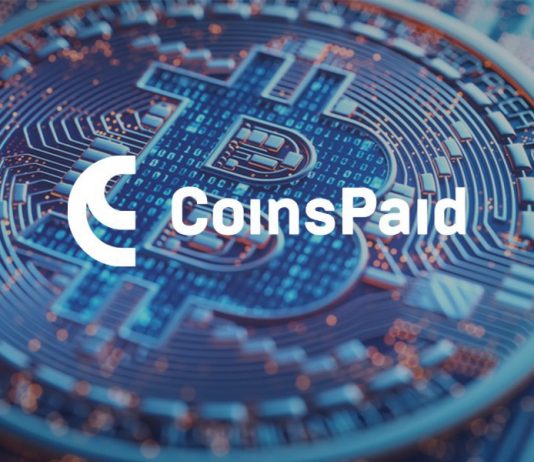 Inside the Crypto Market: Market Development Utilizing the CoinsPaid Example Inside the Crypto Market: Market Development Utilizing the CoinsPaid Example