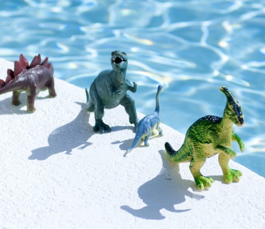 DinoSwap Introducing: How You Can Farm on Polygon For Appealing Yield