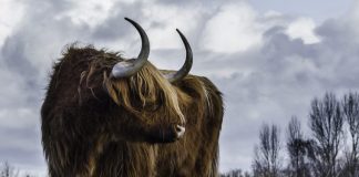 An Unusual Bullish Bitcoin Signal Has Actually Lastly Appeared