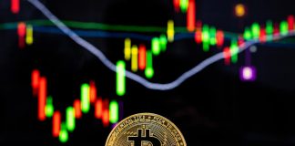 Bitcoin rate – live: Crypto market collapse sees btc fall listed below $30 k